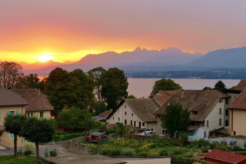 Appartement Cosy Et Confortable A Deux Pas Du Lac Excénevex Dış mekan fotoğraf